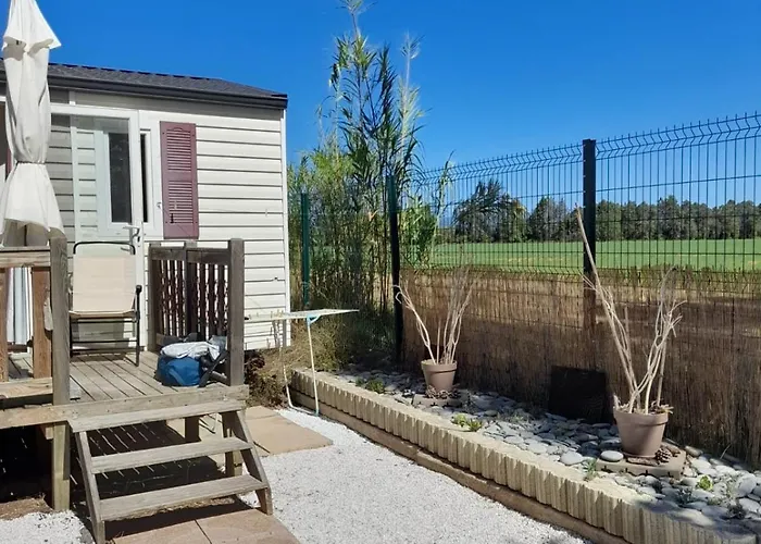 Spacious With Furnished Terrace * Fréjus